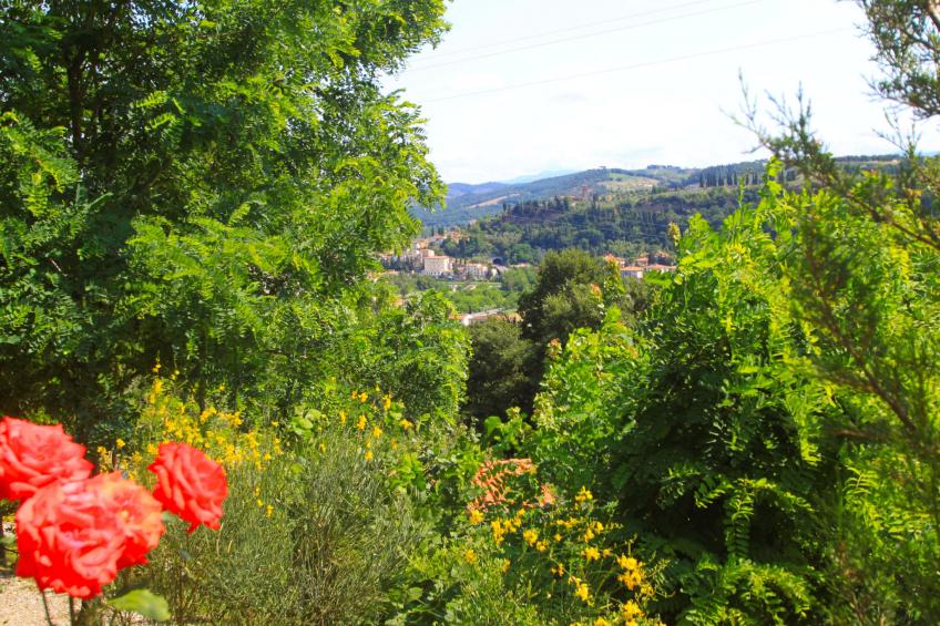 La Rosa - foto 47