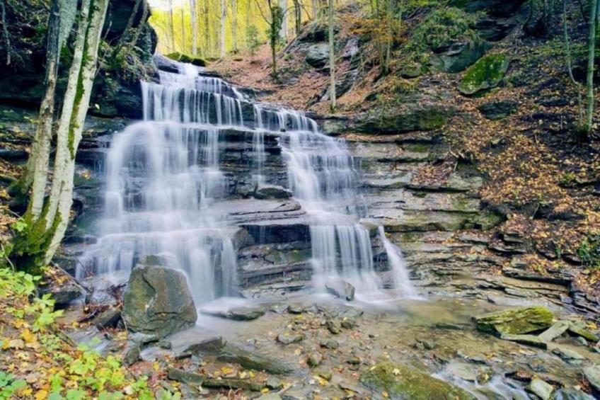 Nonno Raoul - foto 40