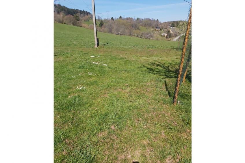 202864 - foto 17