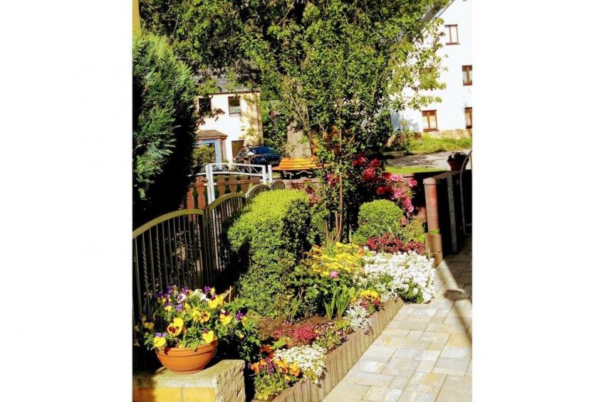 19931 - foto 5