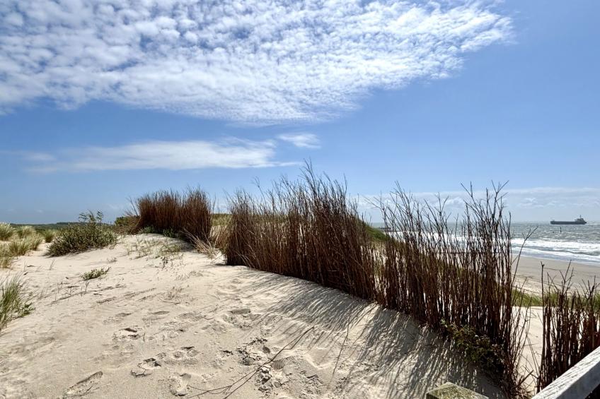 Gemütliche Ferienwohnung Westkapelle mit Terrasse - foto 25