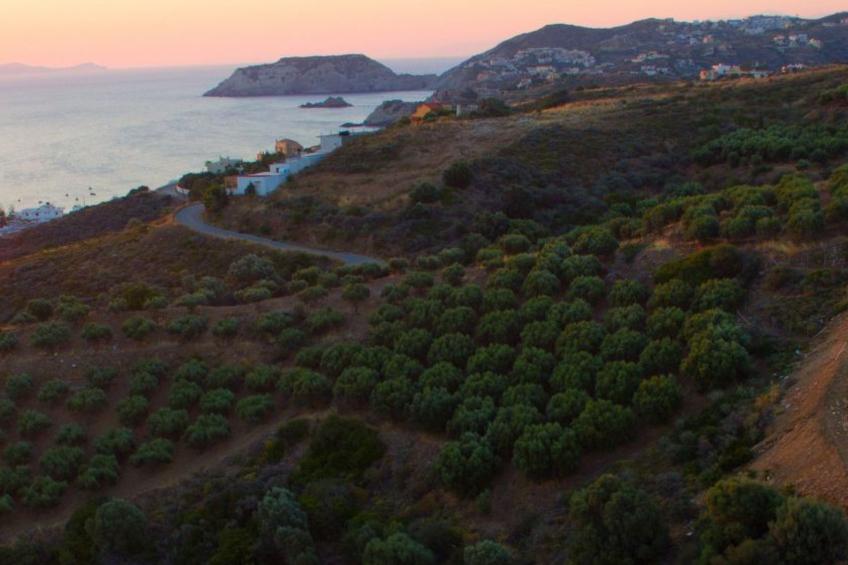 "Villa Anthekleia" - foto 26