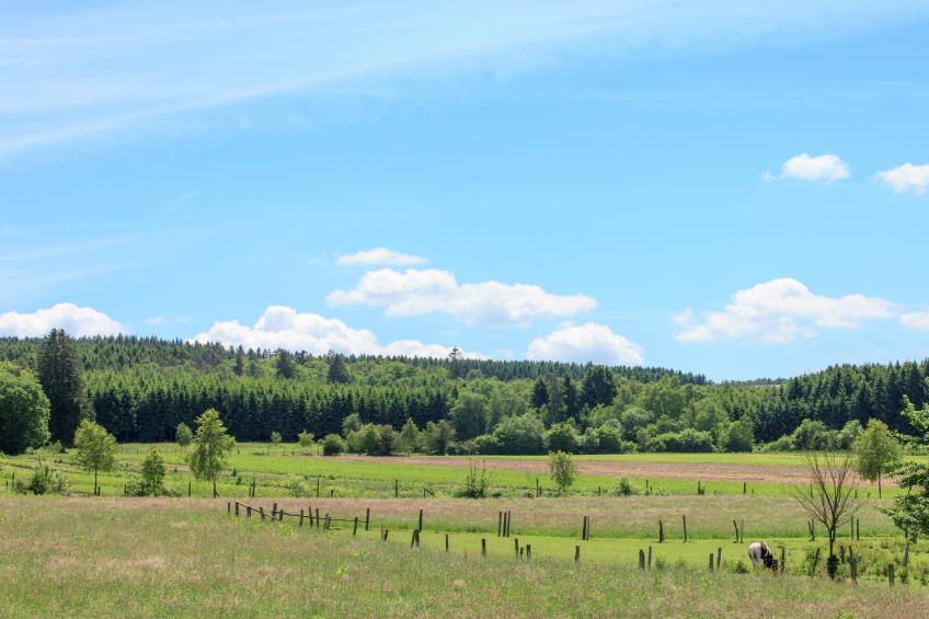 Hautva - foto 8
