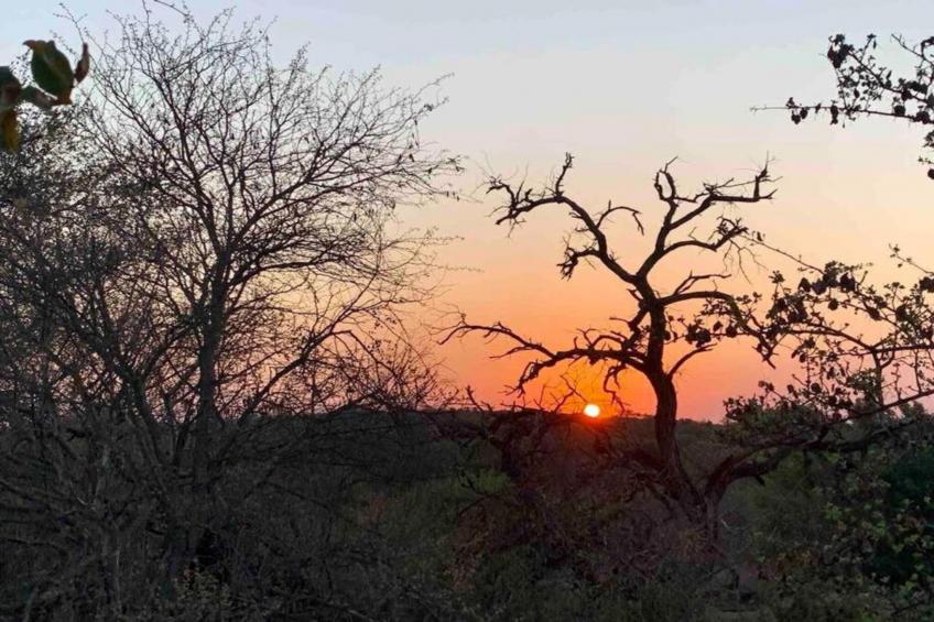 Villa Monkey House nr 1274 - foto 34