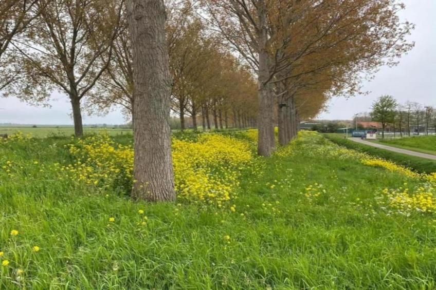 Standaard 211 - foto 30