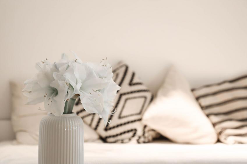 Pool-Loft Siebengebirge Wandern Erholen Sauna - foto 10