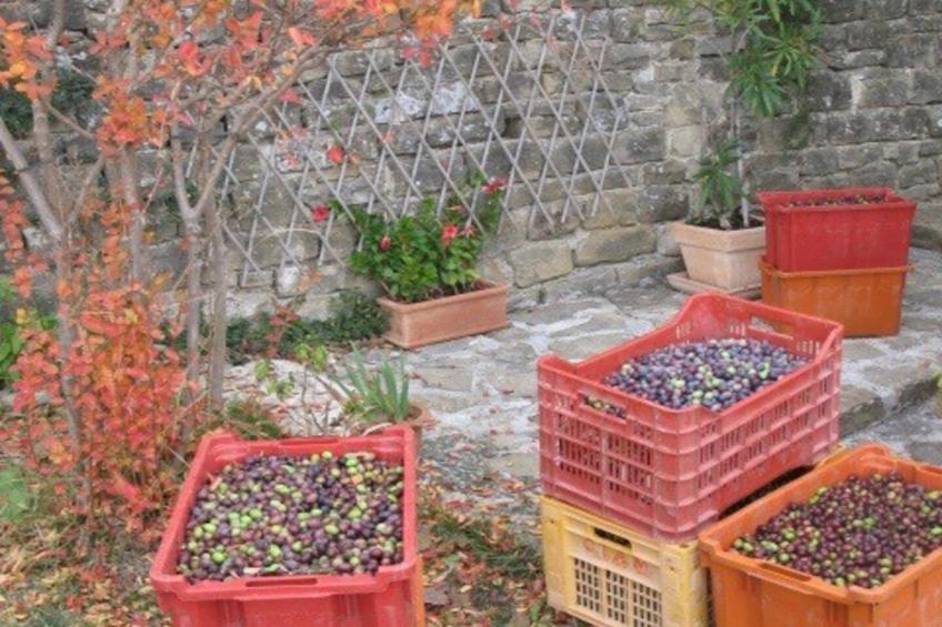 Villa Bella - Two Bedroom House - foto 17