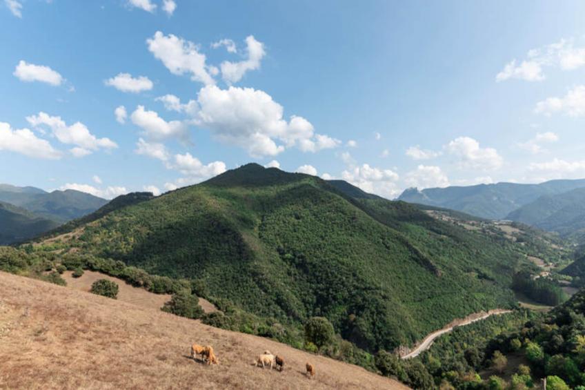 Maison à Cabezon de Liebana Cantabria - foto 19