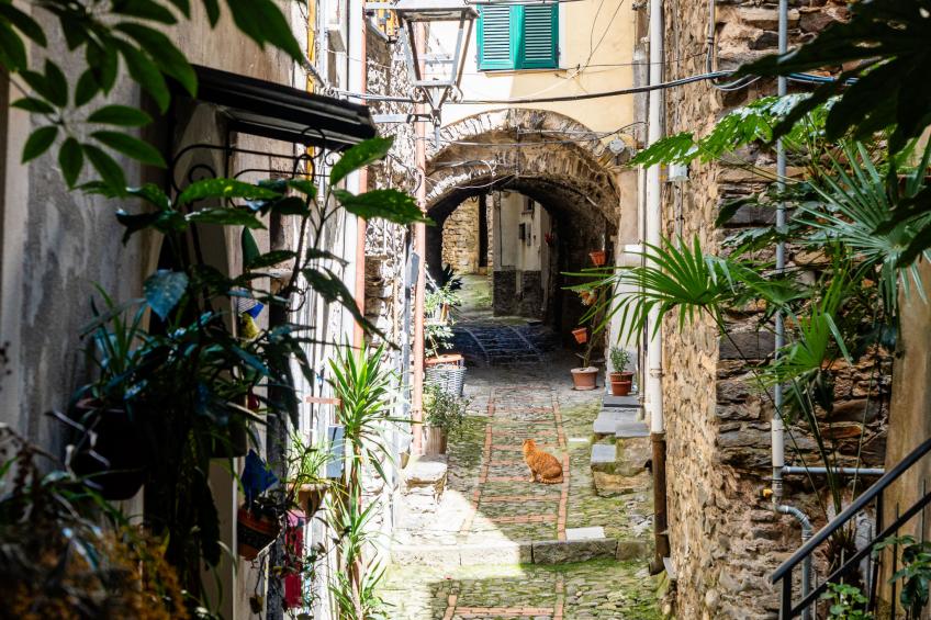 La Terrazza Soleggiata di Maria - foto 5