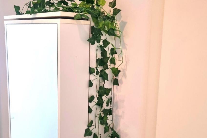 Familienfreundliche Wohnung im schönen Reisenberg - foto 20