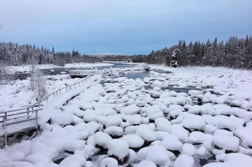 mit Garten, Grill und Terrasse - foto 30