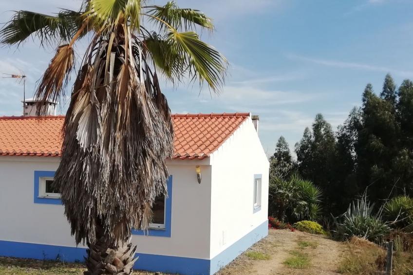 Monte Horizonte Casa Borboleta Öko und Natur - foto 12