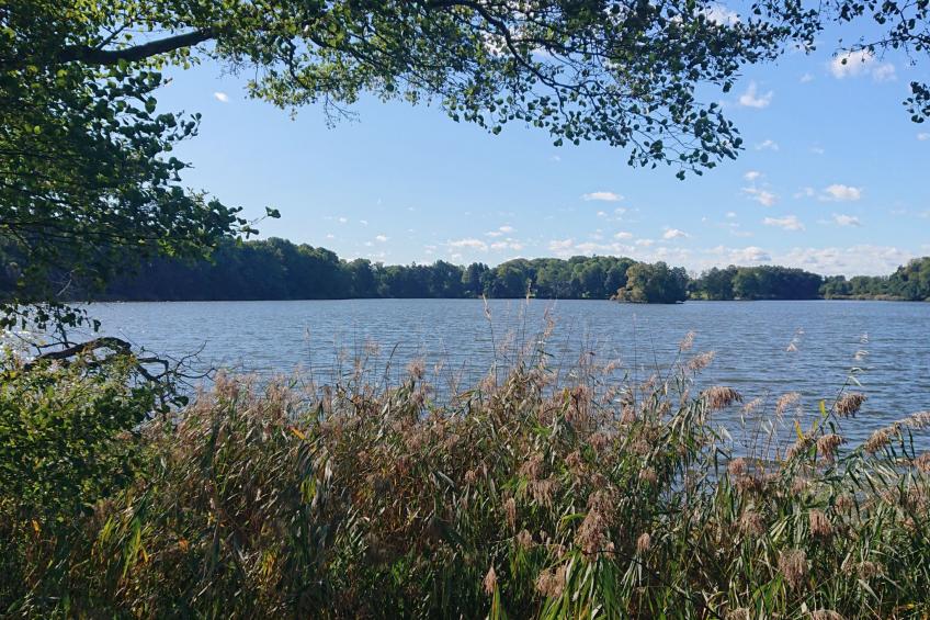 Schaalsee - Auszeit - foto 40