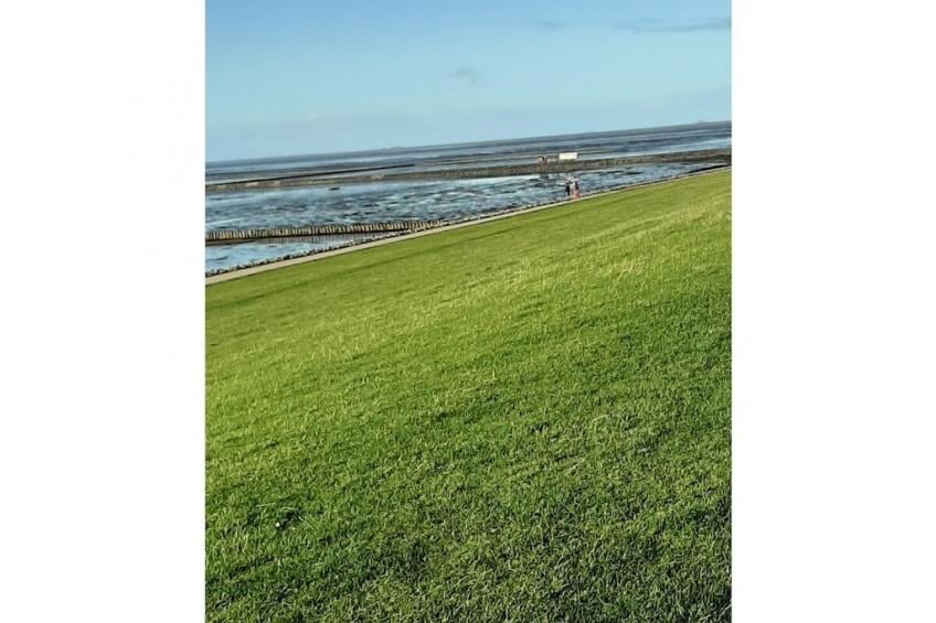396849 - foto 18