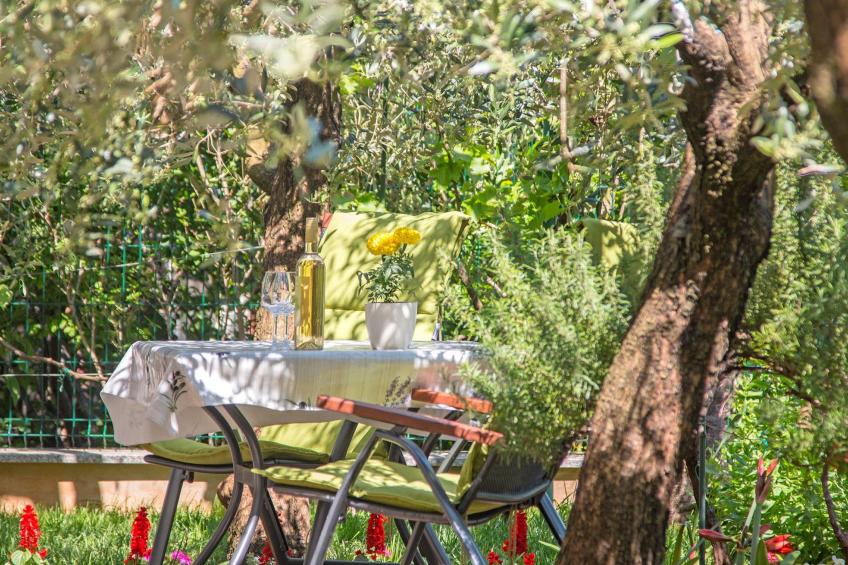 Studio Oliva - foto 16