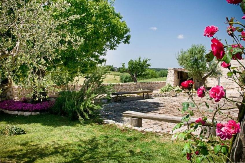Kirschbaum Trullo, Entspannung und Essen und Wein - foto 35