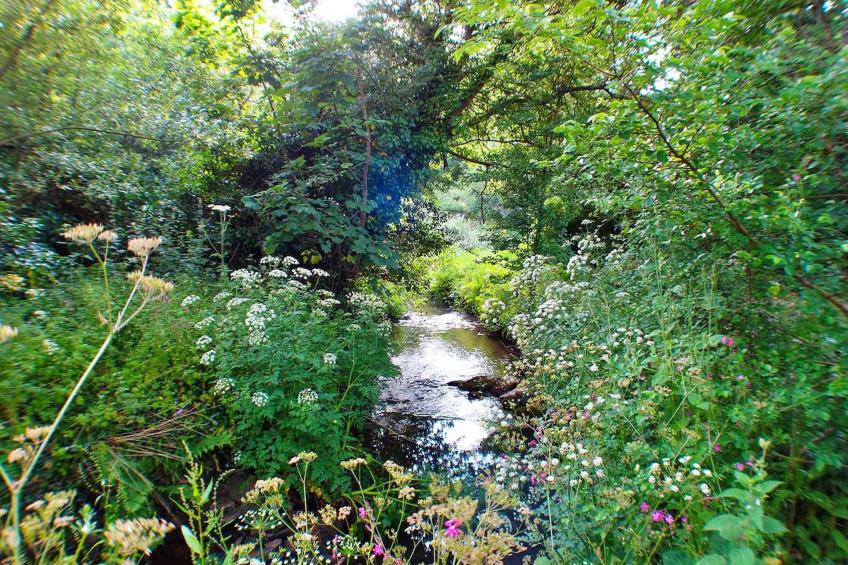 Porthcothan Mill Cottage - foto 14