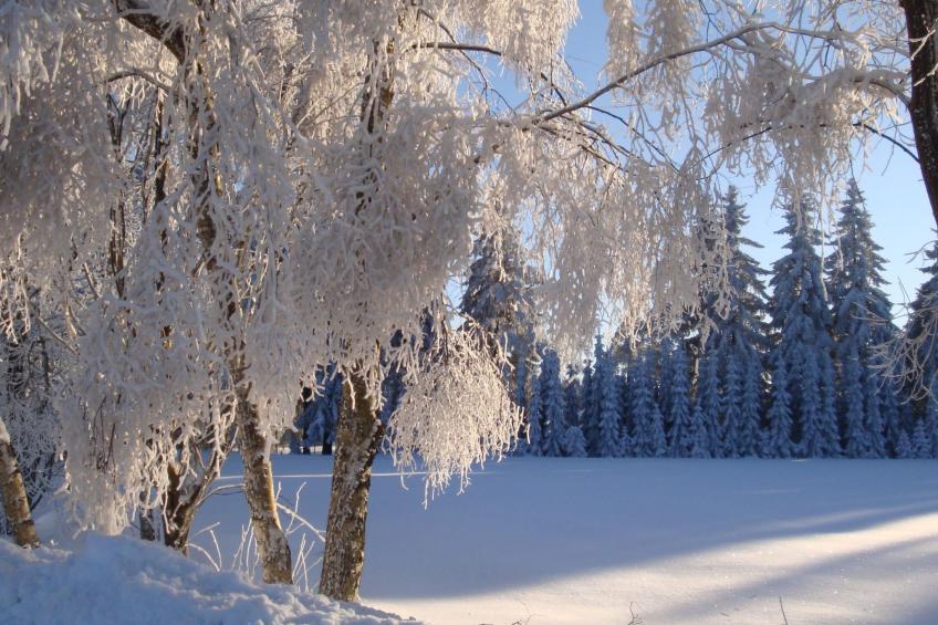 Vogtlandresidenz - foto 20