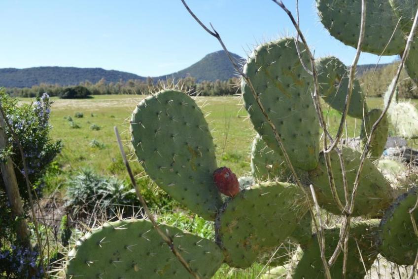Su Sole de Barega - foto 21