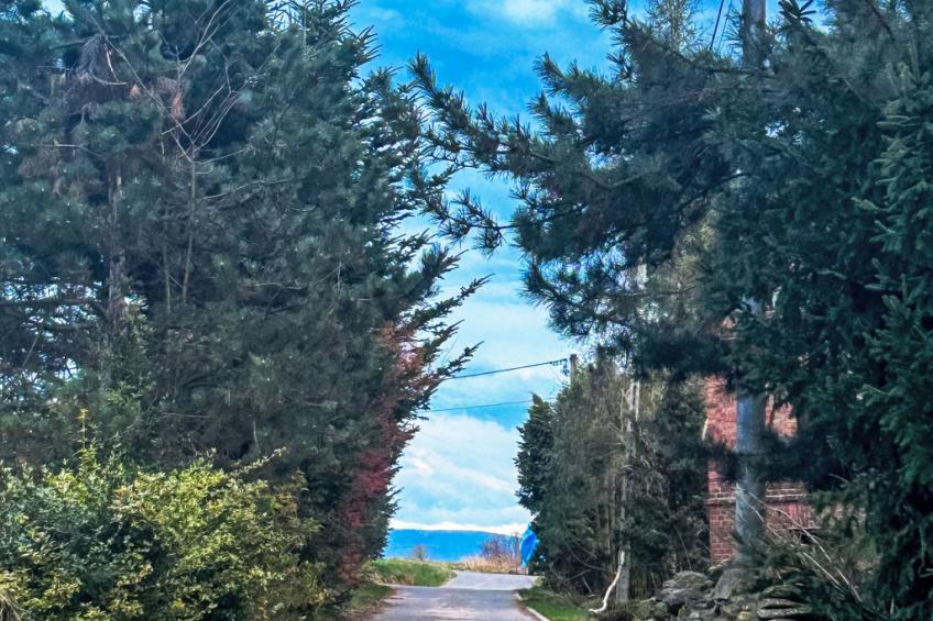 Nasze Chabazie - foto 55