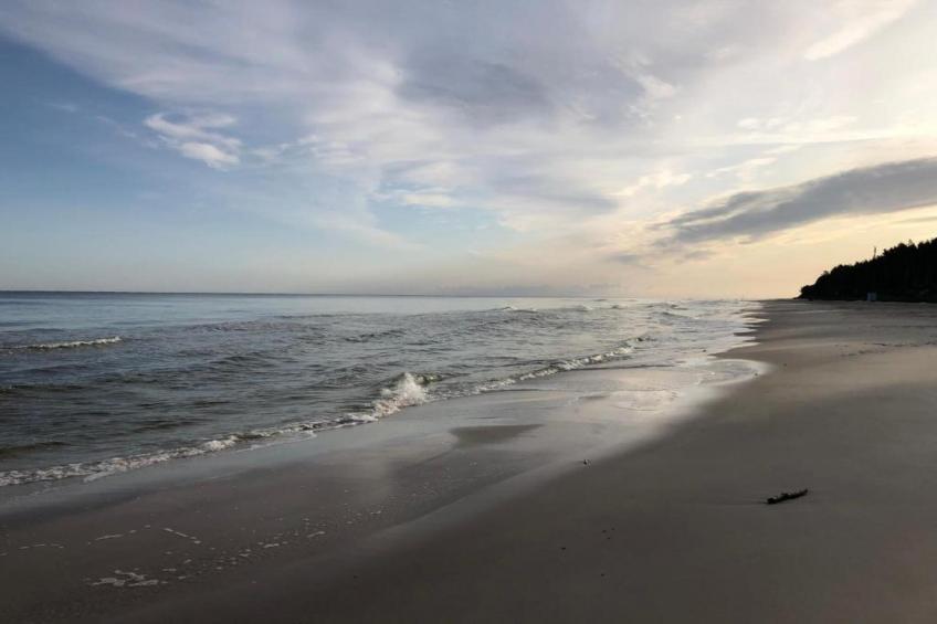 Dom całoroczny - foto 24