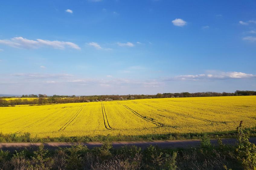 Ferienwohnung Freital - Dresden - foto 12