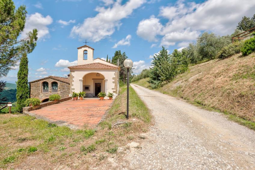 Castagno - foto 36