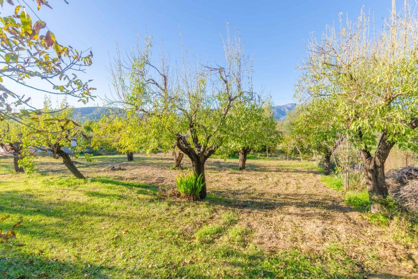 Can Reure (can Paris) - foto 39