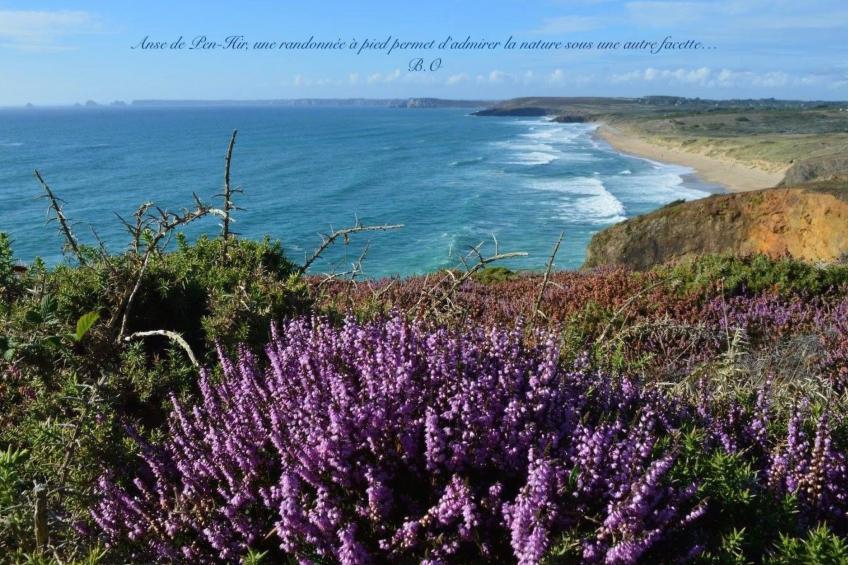 mit eigenem Garten und Grill - foto 25