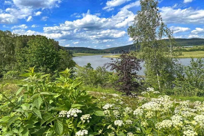FERIENDORF SEEBLICK - Tiny Chalet am Eixendorfer See - foto 30