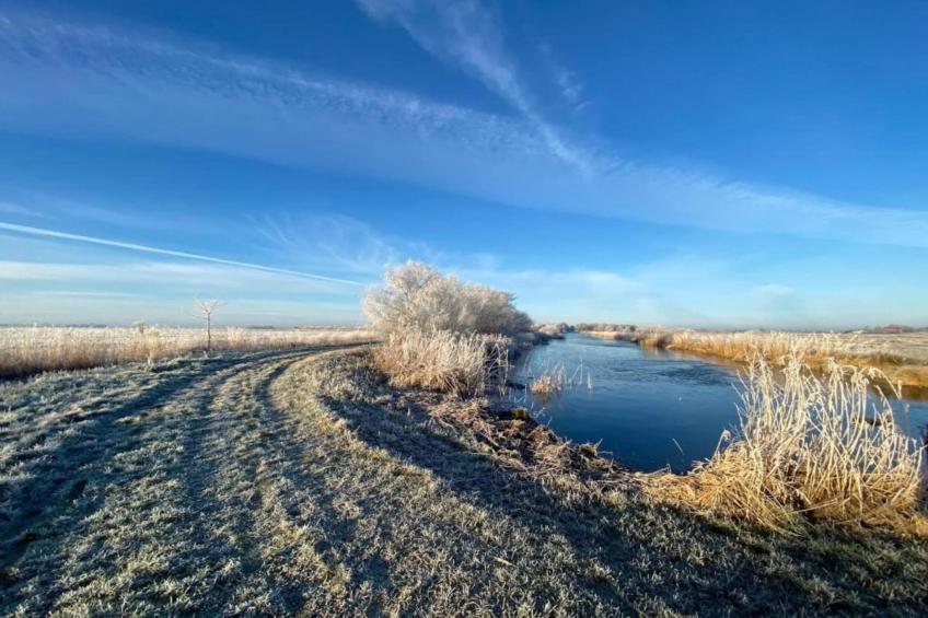 Luxe glamping met badkamer 2 - foto 25