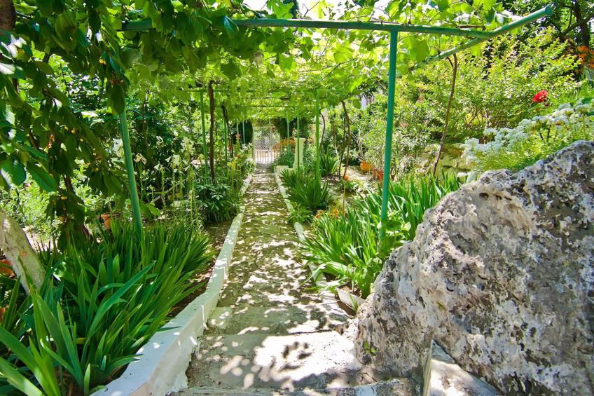 mit Blick auf das Wasser - foto 23