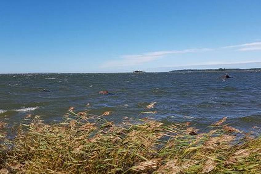 Soukonranta - foto 4