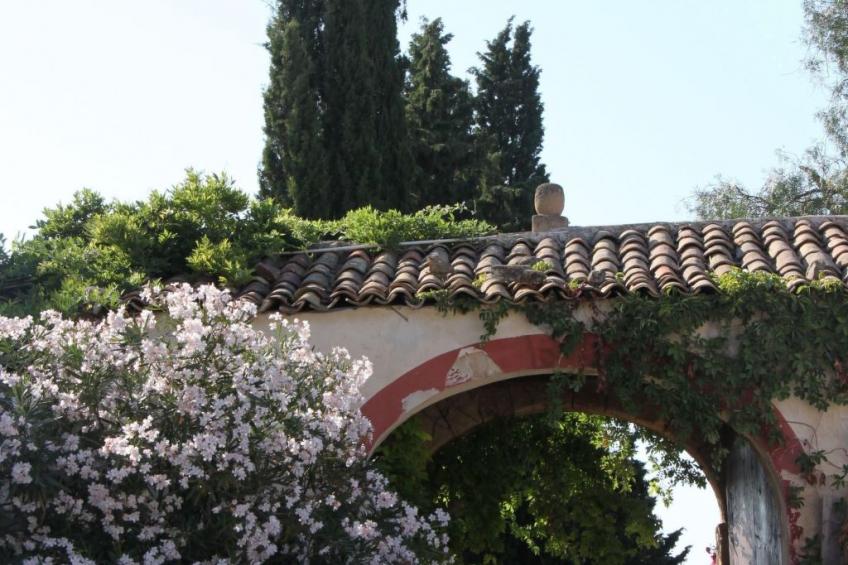 'Haus am Zitronenhain' - foto 16