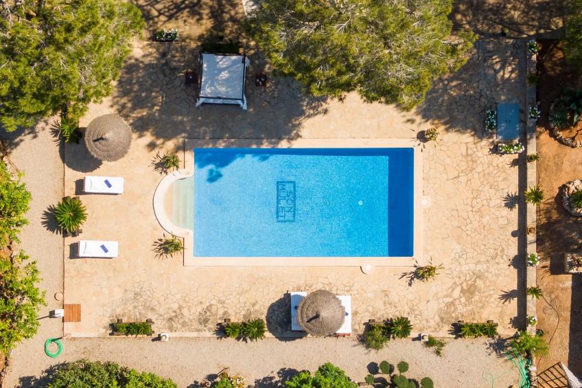 Mulet Llubi - foto 13