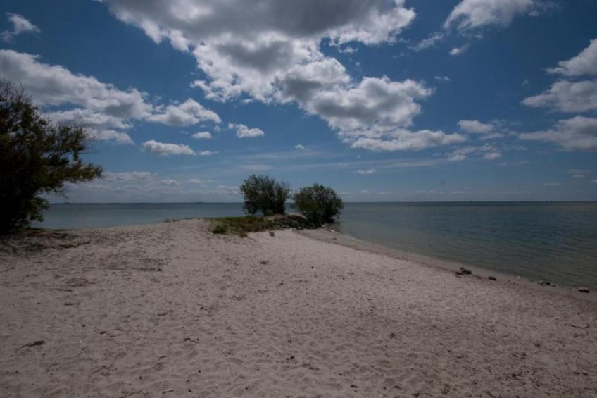 De Meerkoet - foto 28