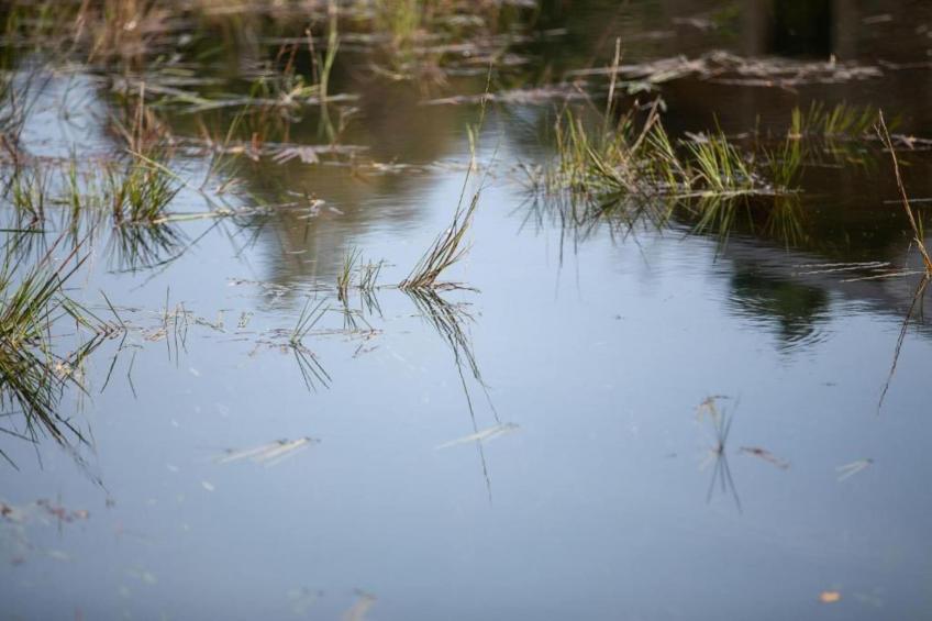 Chalet de la Vallée - foto 34