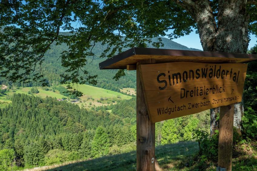 Gütenbach - foto 17