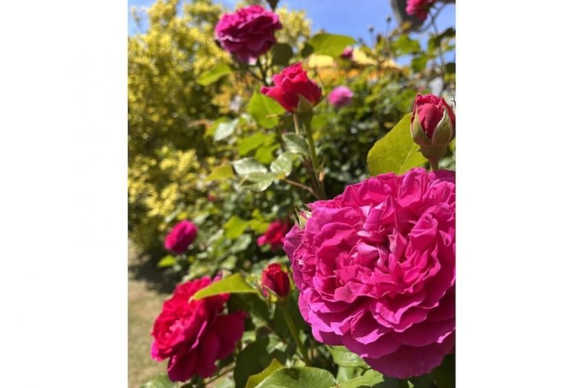 29751 - foto 4