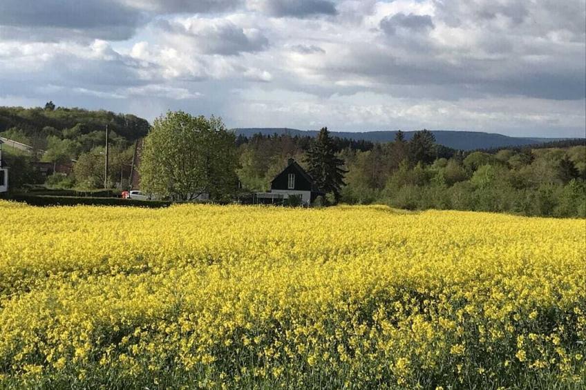 186429 - foto 18