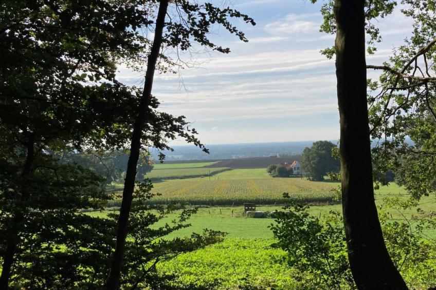 Schönes Ferienhaus in Brochterbeck mit Garten - foto 24