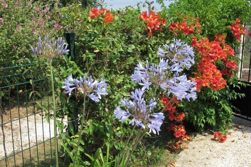 Haus "l'Ecurie" mit Terrasse und Garten - foto 16