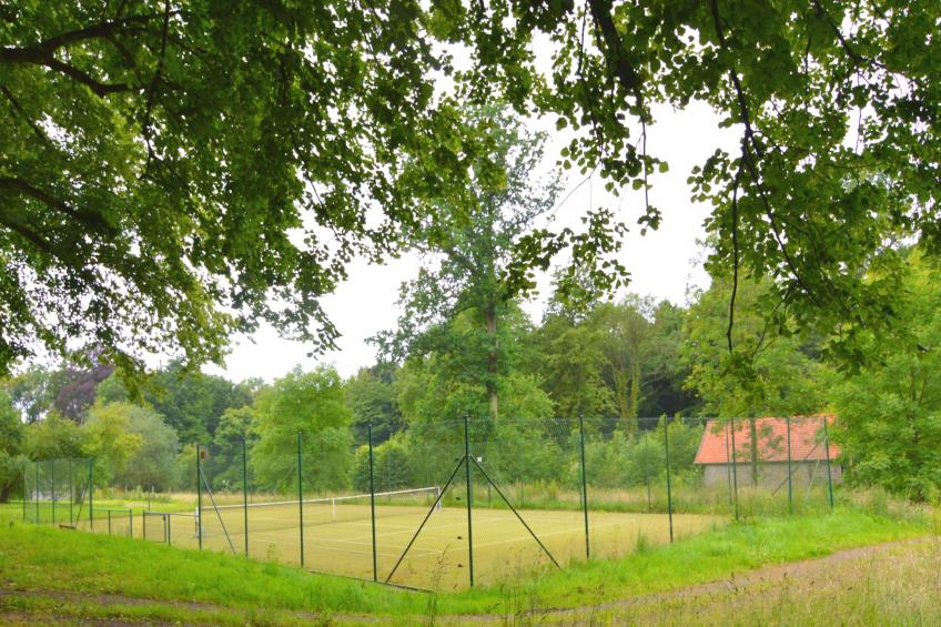 Le Vieux Tilleul du Château - foto 25
