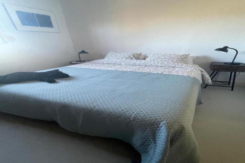 Casa Rocas - foto 24