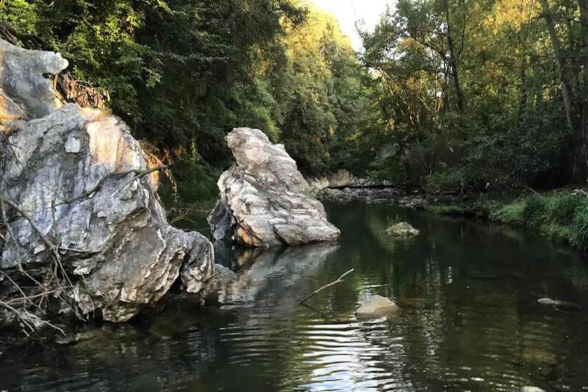 Appartements à Montagut i Oix - foto 37