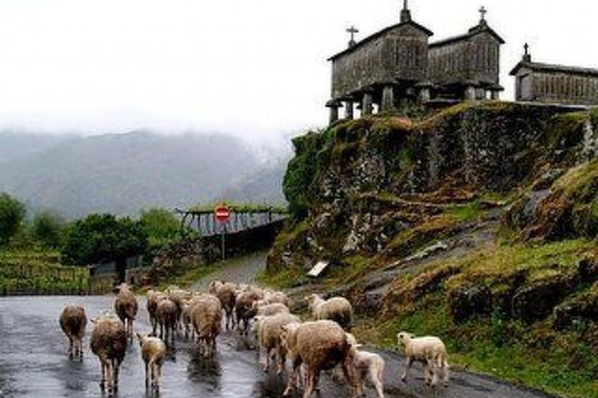 Soajo - Die schönste Gegend von Gerês 1 - foto 14