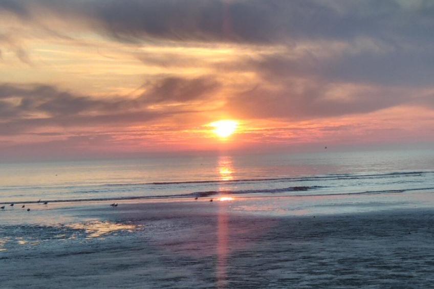 Le Bois aux Ecureuils (Eichhörnchenwald) - foto 37