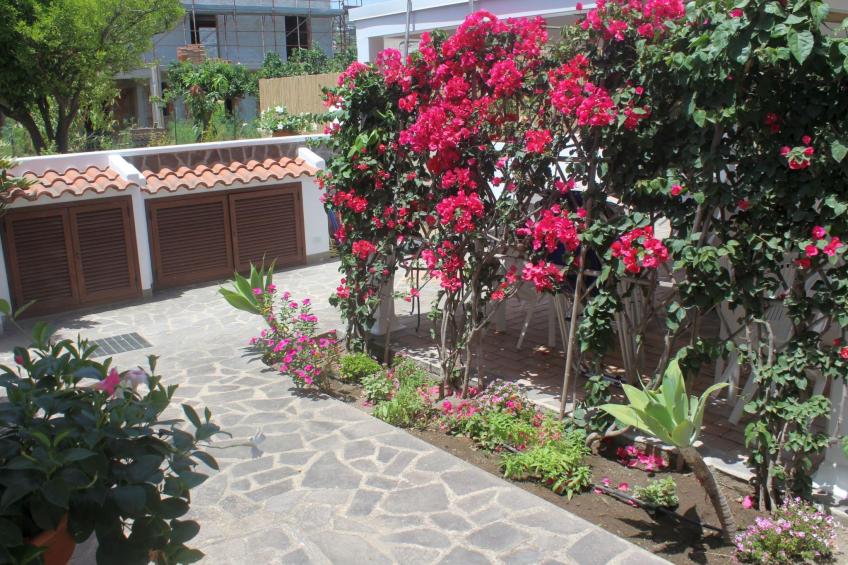 'Camelia ab 236 - foto 21