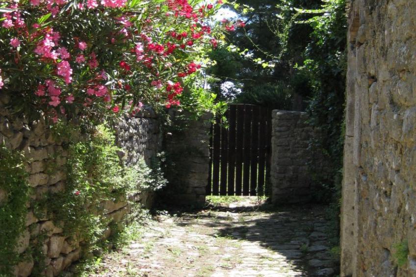 in Osor mit Privatem Pool - foto 41