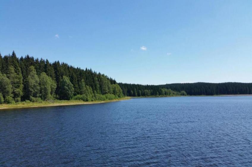 Jägersgrün - foto 34